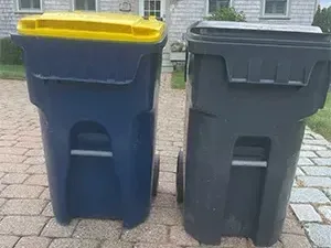 Trash and recycle bonnet